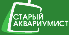 Главная